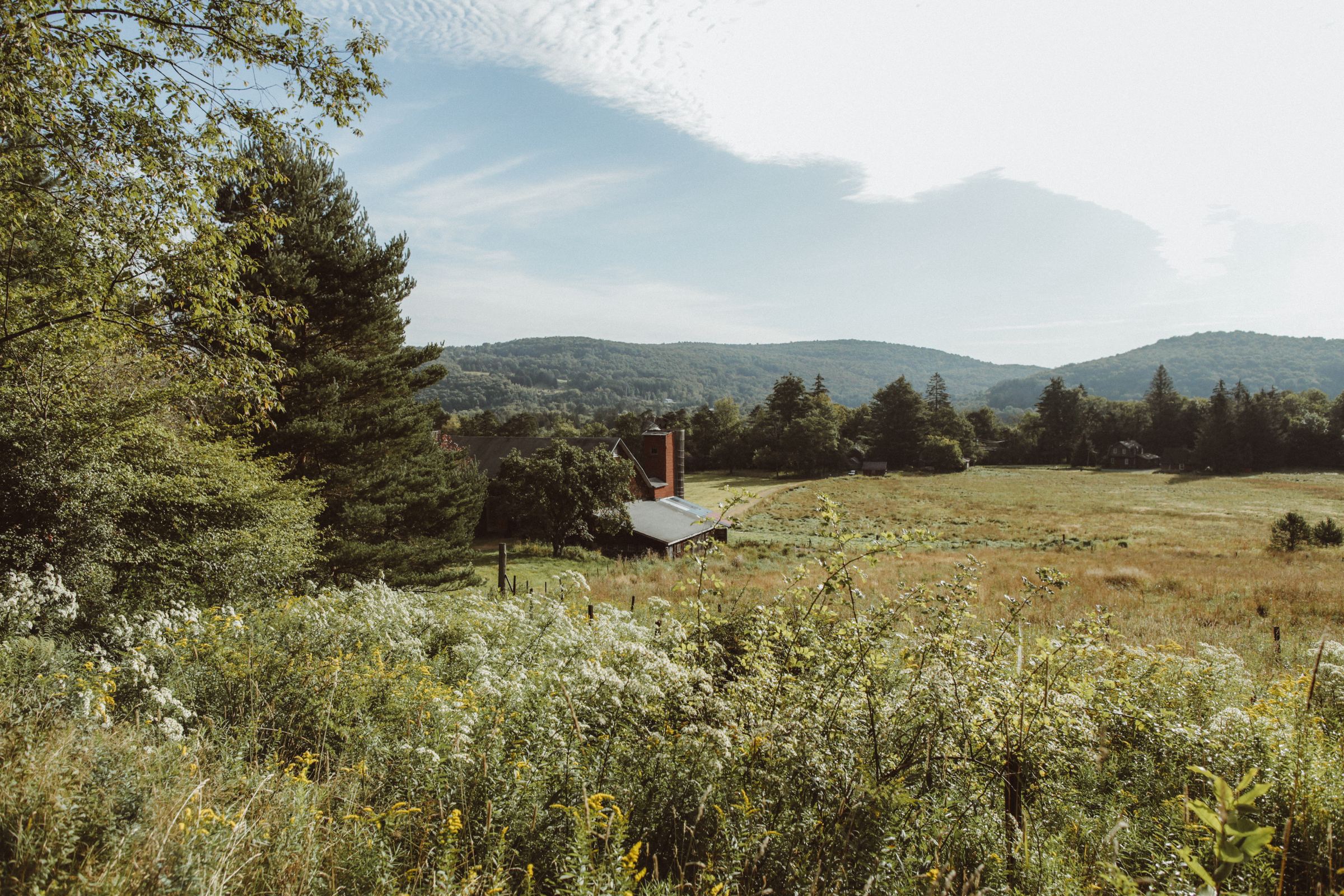 The farm at Livingston Manor, with mountains beyond